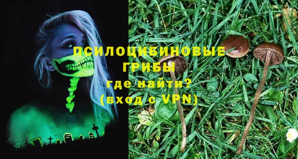 дживик Заводоуковск