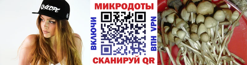 Галлюциногенные грибы Psilocybe  даркнет сайт  Инта 